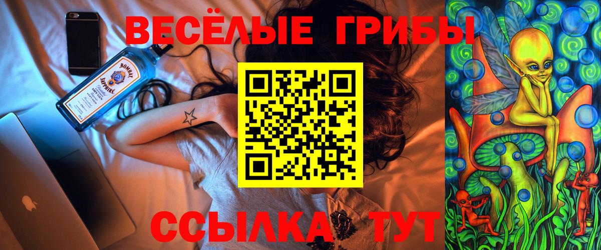 Жигулёвск  Галлюциногенные грибы Psilocybine cubensis  Вход с VPN 