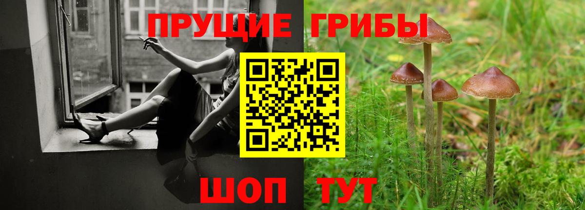 Галлюциногенные грибы MAGIC MUSHROOMS Жигулёвск